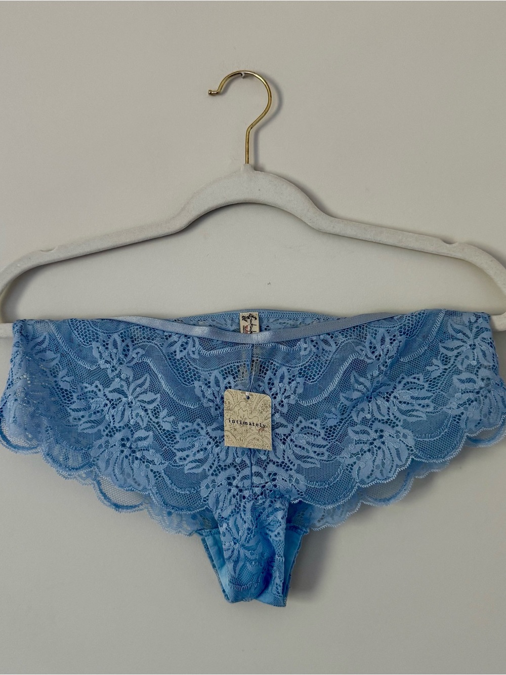 NWT Free People Intimately Lace Boy Short Underwear, Dusty Light Blue – Small